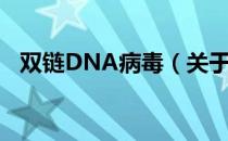 双链DNA病毒（关于双链DNA病毒介绍）