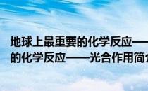 地球上最重要的化学反应——光合作用（关于地球上最重要的化学反应——光合作用简介）
