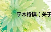 宁木特镇（关于宁木特镇介绍）