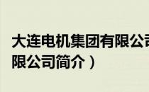 大连电机集团有限公司（关于大连电机集团有限公司简介）