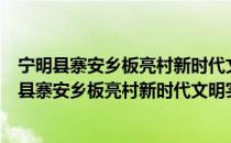 宁明县寨安乡板亮村新时代文明实践志愿服务队（关于宁明县寨安乡板亮村新时代文明实践志愿服务队介绍）