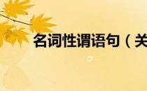 名词性谓语句（关于名词性谓语句）