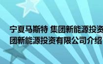 宁夏马斯特 集团新能源投资有限公司（关于宁夏马斯特 集团新能源投资有限公司介绍）