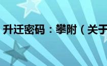 升迁密码：攀附（关于升迁密码：攀附简介）