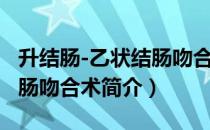 升结肠-乙状结肠吻合术（关于升结肠-乙状结肠吻合术简介）