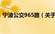 宁波公交965路（关于宁波公交965路介绍）