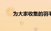为大家收集的羽毛球反手握拍总结