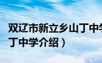 双辽市新立乡山丁中学（关于双辽市新立乡山丁中学介绍）