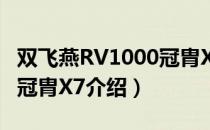 双飞燕RV1000冠胄X7（关于双飞燕RV1000冠胄X7介绍）