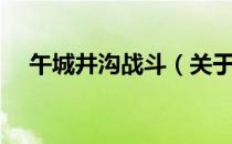 午城井沟战斗（关于午城井沟战斗简介）