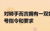 对骑手而言拥有一双好手意味着让马信任其信号指令和要求