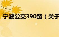 宁波公交390路（关于宁波公交390路介绍）