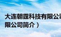 大连朝霆科技有限公司（关于大连朝霆科技有限公司简介）