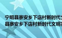 宁明县寨安乡下店村新时代文明实践志愿服务队（关于宁明县寨安乡下店村新时代文明实践志愿服务队介绍）
