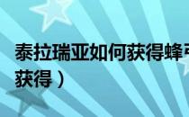 泰拉瑞亚如何获得蜂弓（泰拉瑞亚海啸弓怎么获得）