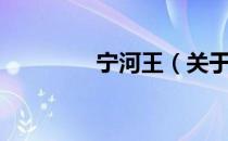 宁河王（关于宁河王介绍）