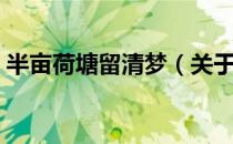 半亩荷塘留清梦（关于半亩荷塘留清梦简介）