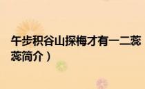 午步积谷山探梅才有一二蕊（关于午步积谷山探梅才有一二蕊简介）