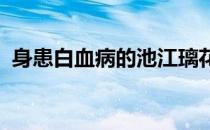 身患白血病的池江璃花子终于正式重返泳池