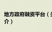 地方政府融资平台（关于地方政府融资平台简介）