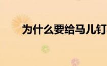 为什么要给马儿钉马掌呢那样不痛吗