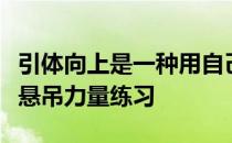 引体向上是一种用自己的力量克服自身重量的悬吊力量练习