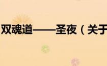 双魂道——圣夜（关于双魂道——圣夜介绍）