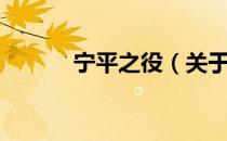 宁平之役（关于宁平之役介绍）