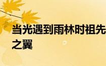 当光遇到雨林时祖先在哪里哭泣 如何收集光之翼 