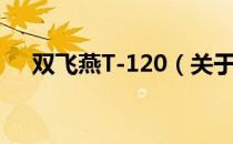 双飞燕T-120（关于双飞燕T-120介绍）