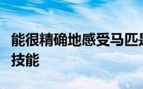 能很精确地感受马匹是一个优秀马术骑手必备技能