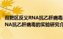 双靶区反义RNA抗乙肝病毒的实验研究（关于双靶区反义RNA抗乙肝病毒的实验研究介绍）