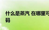 什么是蒸汽 在哪里可以看到steam的备用代码 