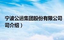 宁波公运集团股份有限公司（关于宁波公运集团股份有限公司介绍）