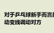 对于乒乓球新手而言最有效的办法就是通过主动变线调动对方