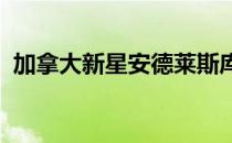 加拿大新星安德莱斯库今年因伤高挂免战牌