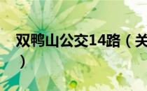 双鸭山公交14路（关于双鸭山公交14路介绍）