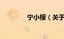 宁小檬（关于宁小檬介绍）