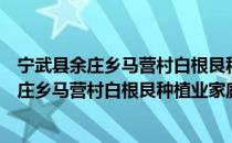 宁武县余庄乡马营村白根艮种植业家庭农场（关于宁武县余庄乡马营村白根艮种植业家庭农场介绍）