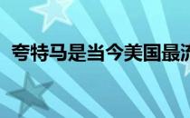 夸特马是当今美国最流行也是最普及的马种