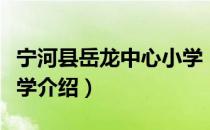 宁河县岳龙中心小学（关于宁河县岳龙中心小学介绍）