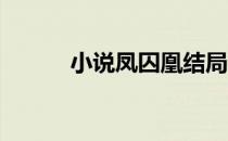 小说凤囚凰结局（凤囚凰 结局）