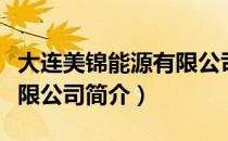 大连美锦能源有限公司（关于大连美锦能源有限公司简介）