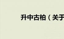 升中古柏（关于升中古柏简介）