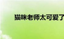 猫咪老师太可爱了（猫咪老师桌宠）