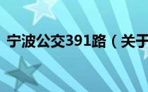 宁波公交391路（关于宁波公交391路介绍）