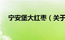 宁安堡大红枣（关于宁安堡大红枣介绍）
