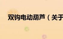 双钩电动葫芦（关于双钩电动葫芦介绍）