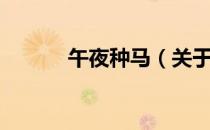 午夜种马（关于午夜种马简介）