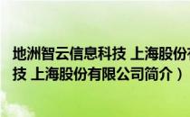 地洲智云信息科技 上海股份有限公司（关于地洲智云信息科技 上海股份有限公司简介）